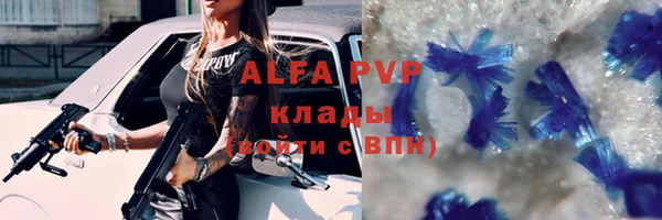 гашик Зерноград