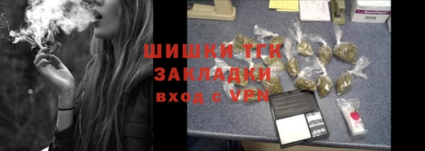 гашик Зерноград