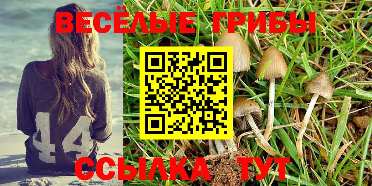 Псилоцибиновые грибы MAGIC MUSHROOMS  Галлюциногенные грибы Psilocybine cubensis  Сорочинск  Вход с VPN 